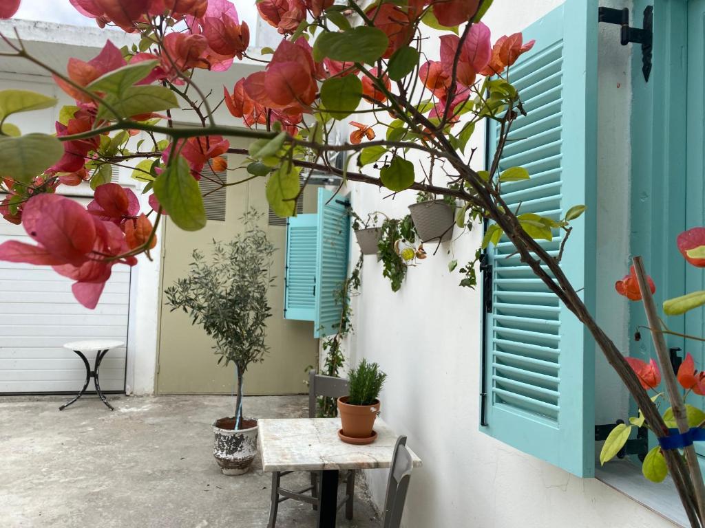 Spata Lykourgos Homes