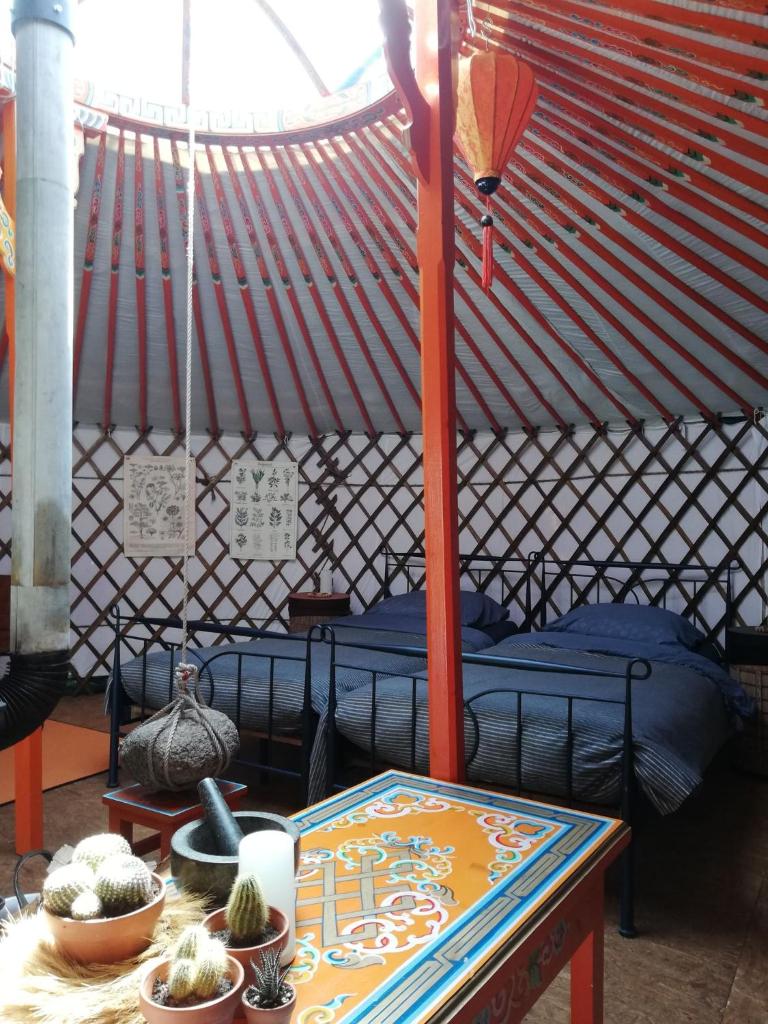 T'eiberveld Yurt verhuur Noord-Sleen photo 4