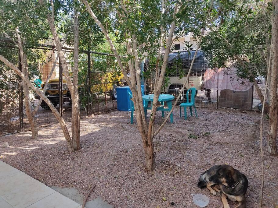 Dahab Cozy Garden chalet