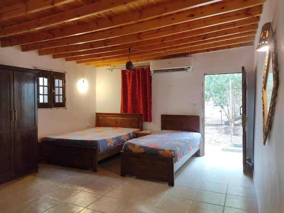 Dahab Cozy Garden chalet photo 2