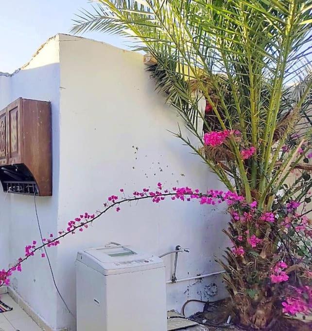 Dahab Cozy Garden chalet photo 4