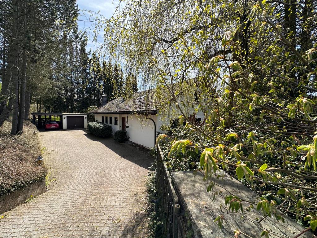 Private Villa close to Winterberg and Willingen 14 guests HUGH GARDEN Free parking multiple cars