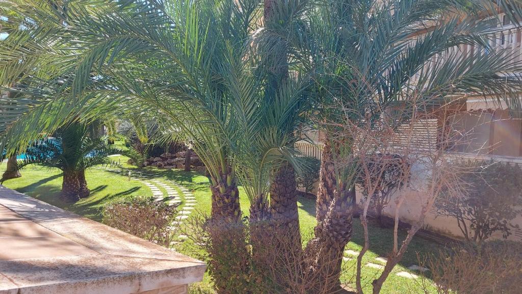 Apartamento Playa Arenal Javea photo 3