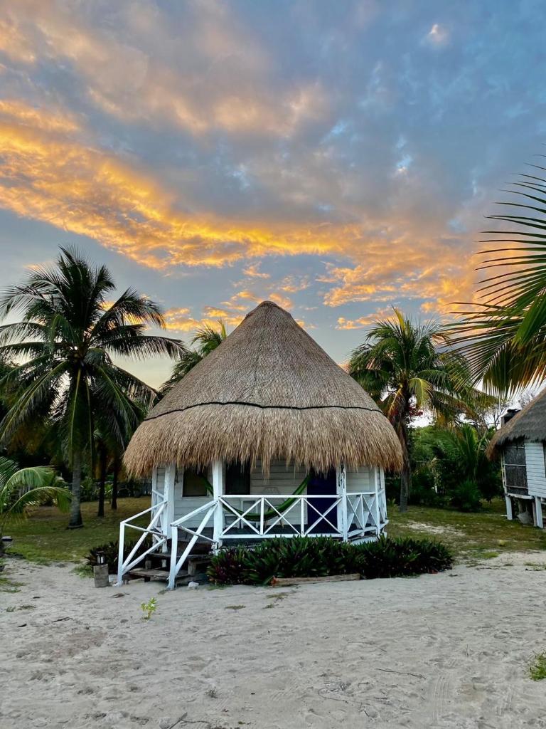 Cabanas ecoturisticas Costa Maya photo 4