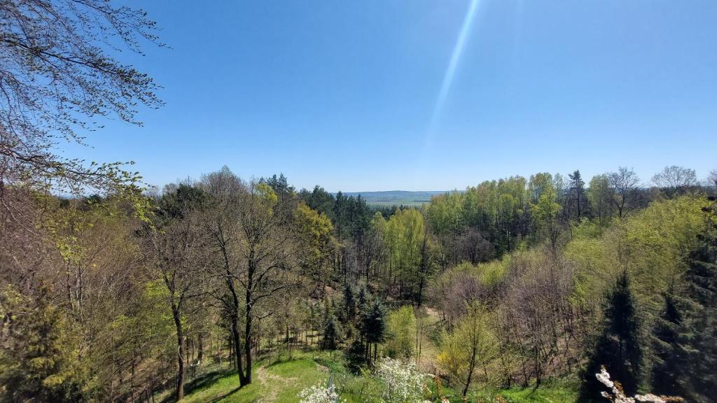 Na Wzgórzu photo 2
