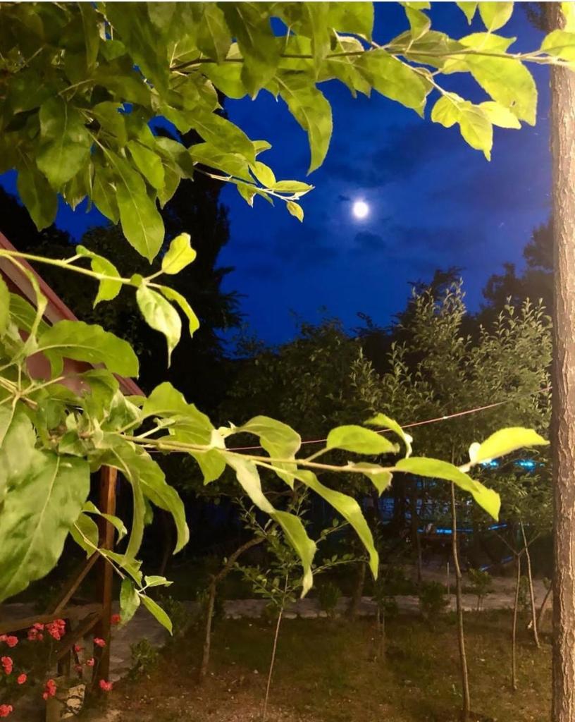 ECOHOTEL ''QIZIL Dere'' photo 4