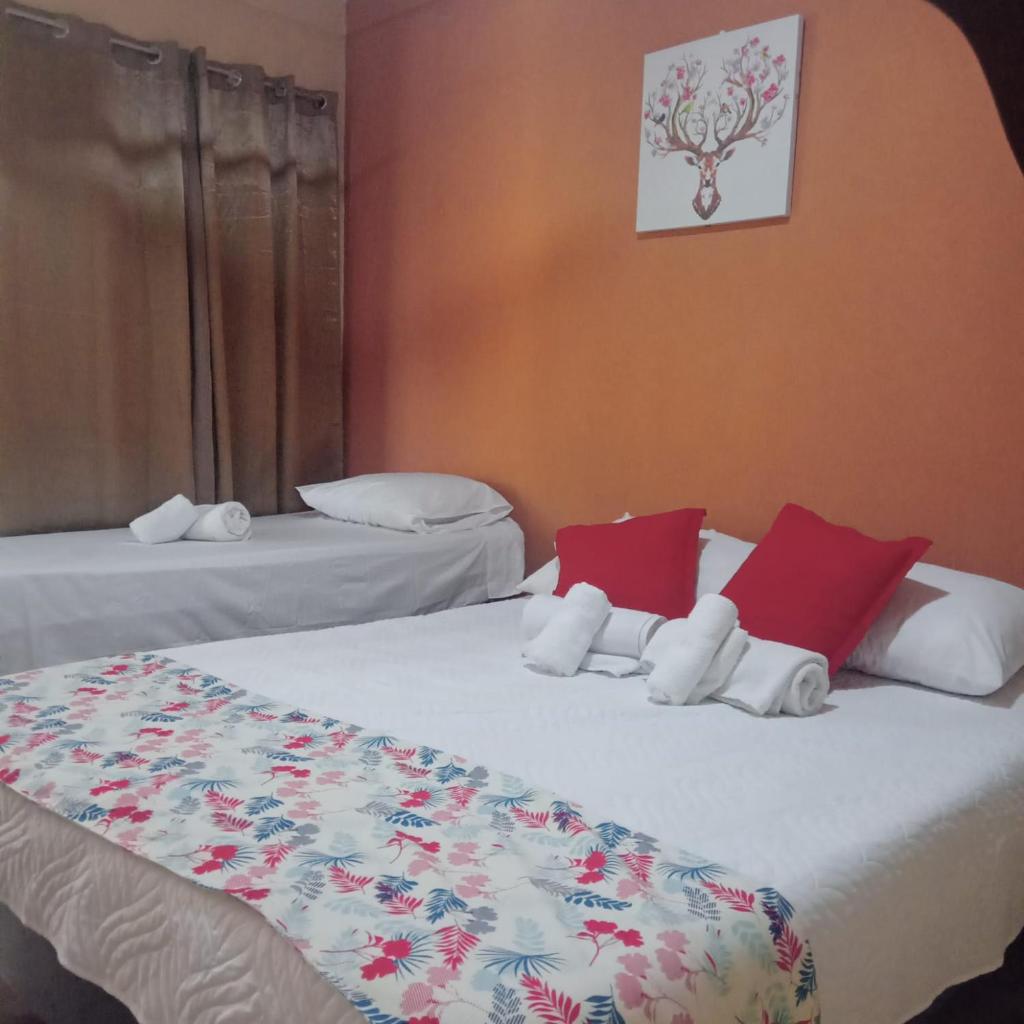 El Cocobolo Food&Rest Room 4 Bed and Breakfast WiFi AC Pkg gratis photo 3
