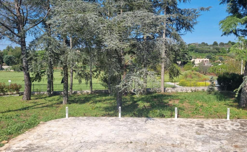 Oltre la Vite photo 2