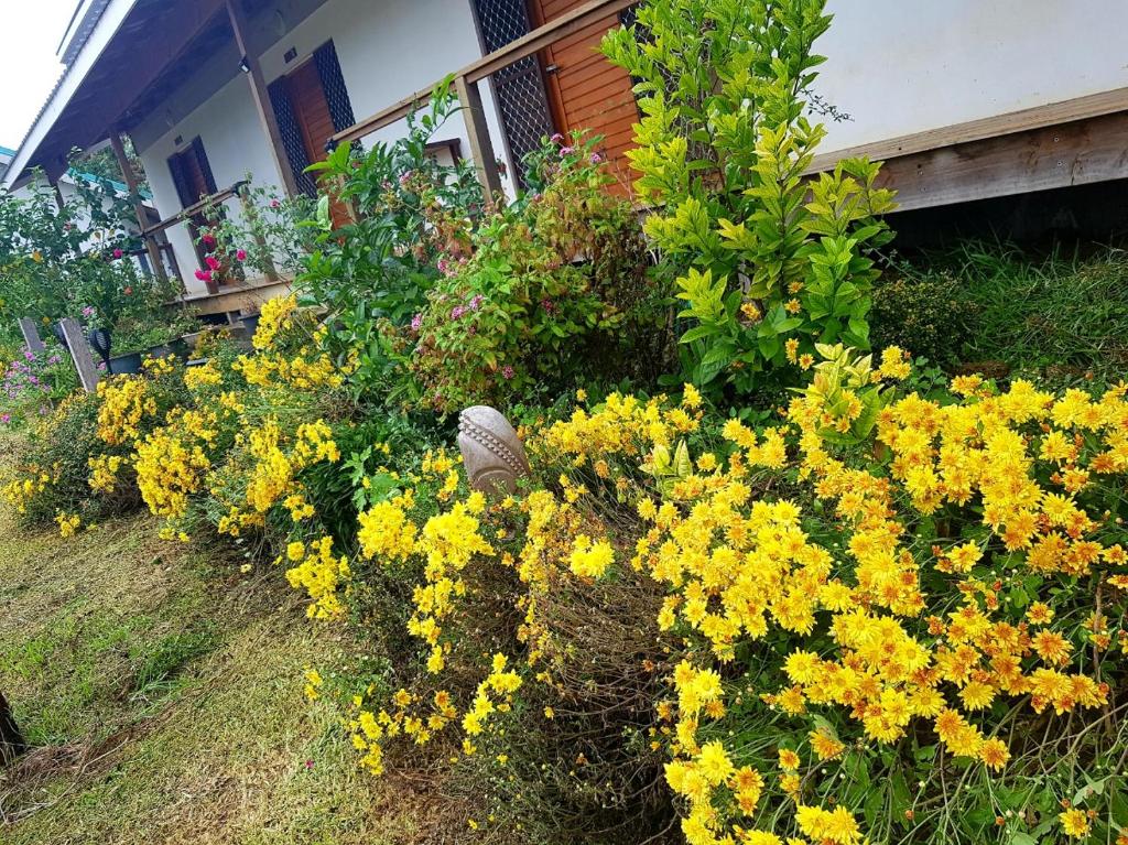 Seachange Lodge photo 1