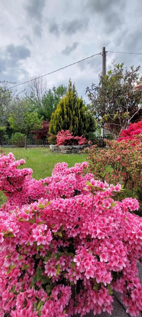 Eden Guest House Colico photo 4