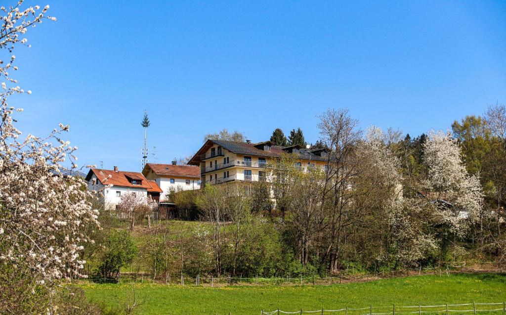 DAS PALMBERGER photo 3
