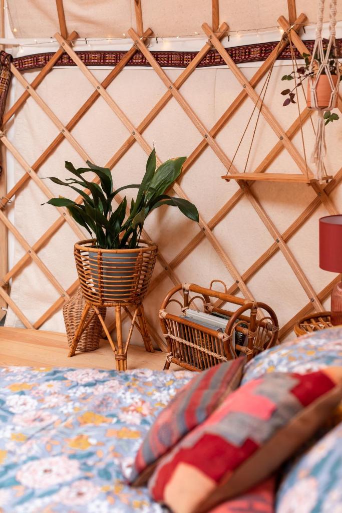 Luxury yurt glamping at Littlegrove photo 2