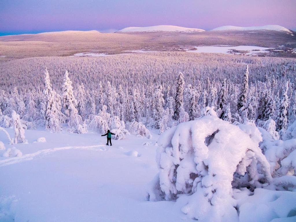Ylläs Kanerva 108 photo 1