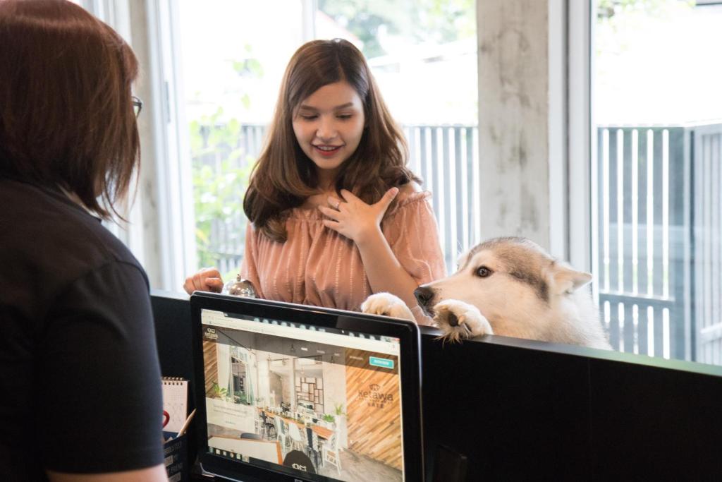 Ketawa Pet Friendly Hotel photo 4