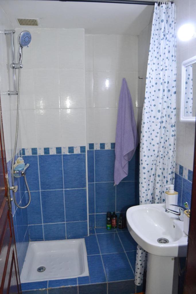 holiday apartment rental photo 3