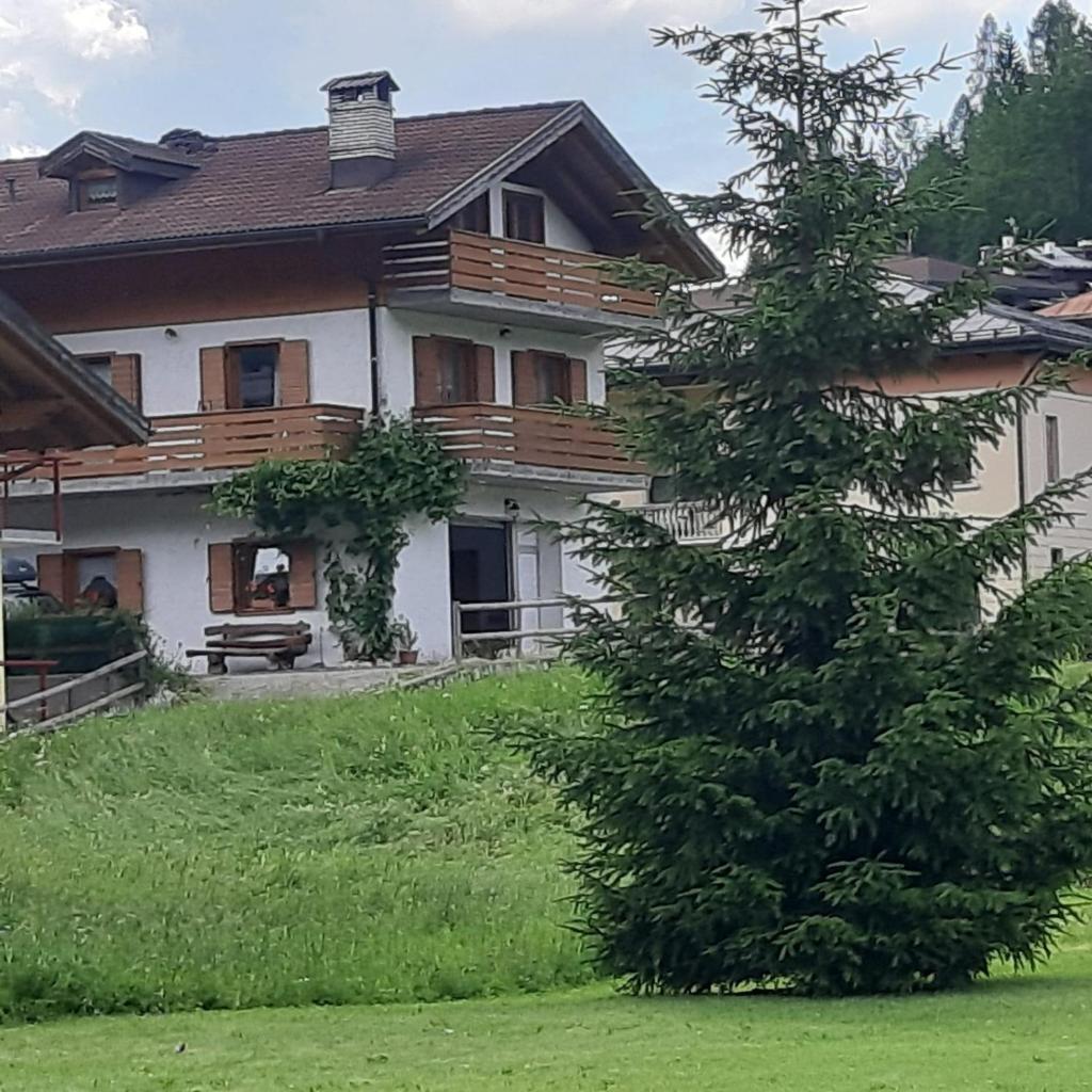 DOLOMITI DA VIVERE photo 4
