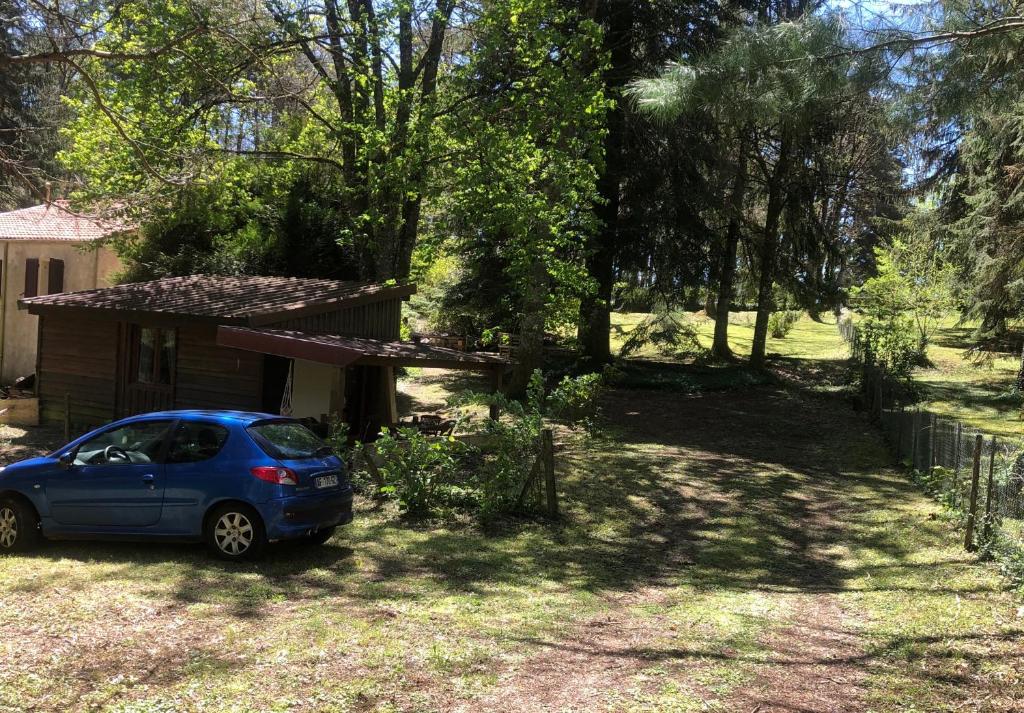 La Cabane photo 4