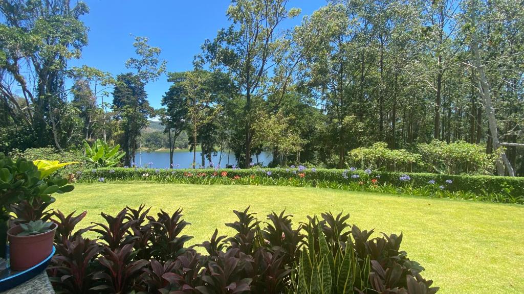CASA DEL LAGO photo 4