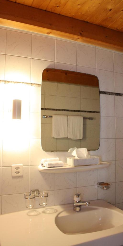 Двухместный (Двухместный номер c 1 кроватью - Дополнительное здание), Hotel Alpina