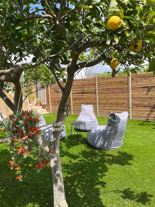 Lemonia Apartment with yard photo 4