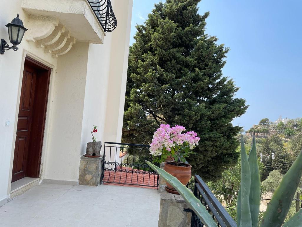 Villa Tibet
