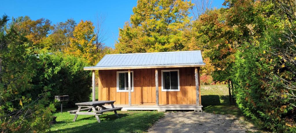 Tobermory Village Cabins photo 2