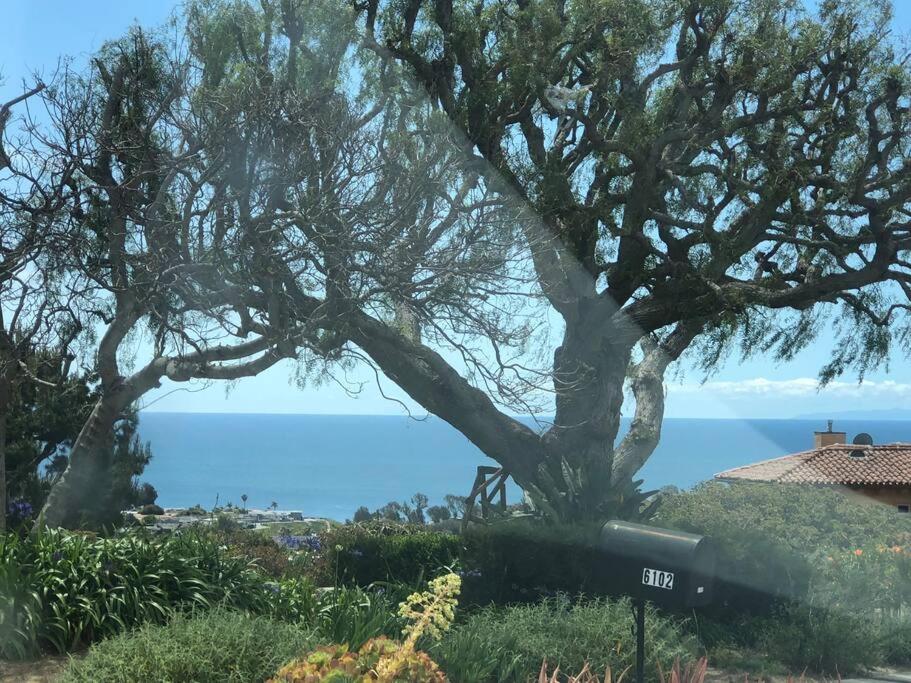 Malibu Seaside Bliss with Hot Tub and Beach & Hike nearby photo 1