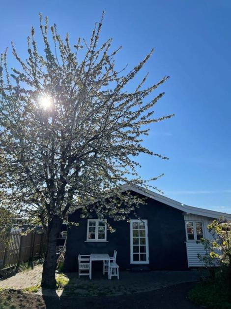 Beautiful House, just a few km from the vibrant center of Copenhagen