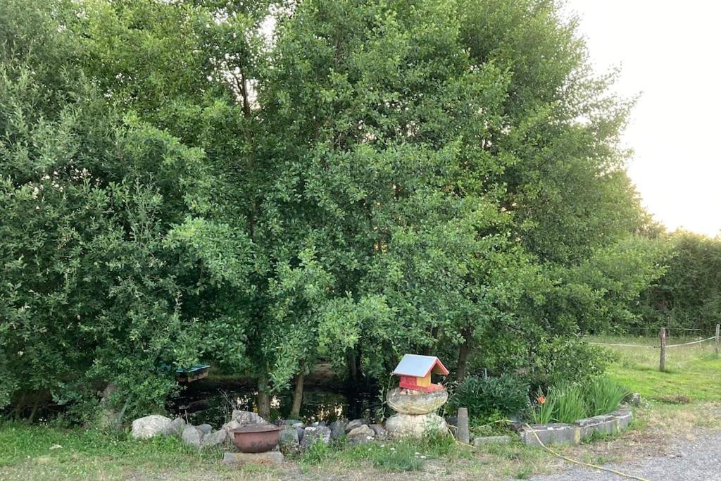 Petite annexe avec des animaux photo 2