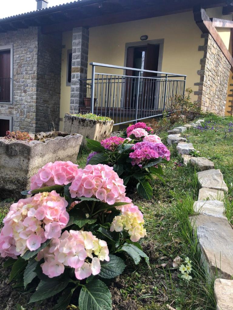Villa Natale photo 3