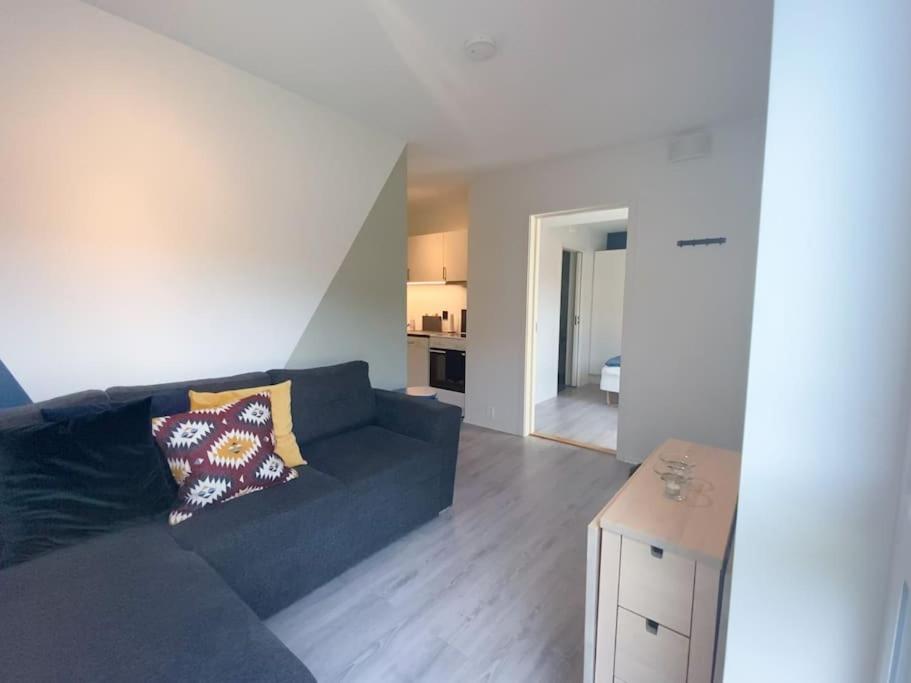 Apartment in Hafjell / Øyer centre. photo 3