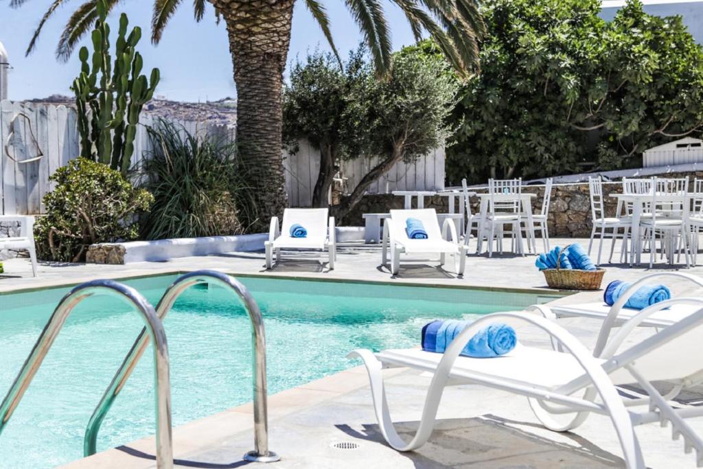 Anamar Blu photo 1