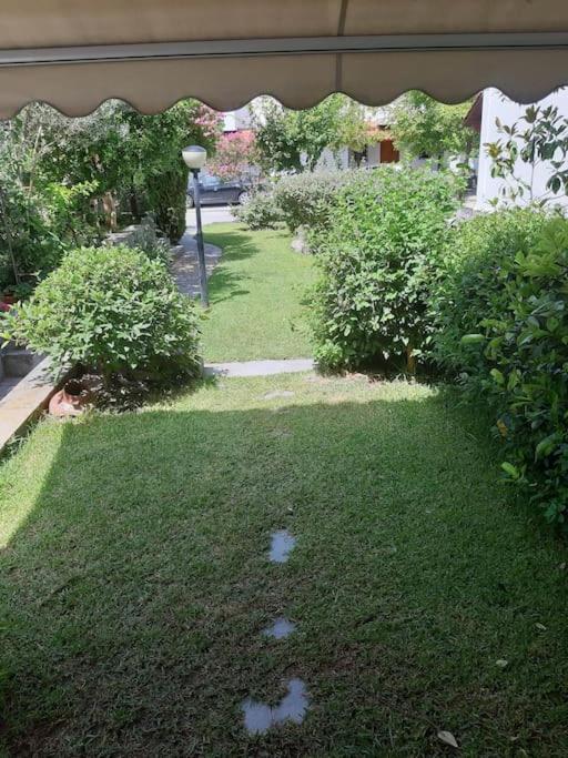 Little Villa in Fourka Kassandra Halkidiki photo 1