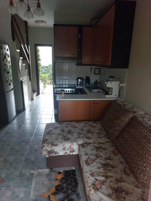 Little Villa in Fourka Kassandra Halkidiki photo 2