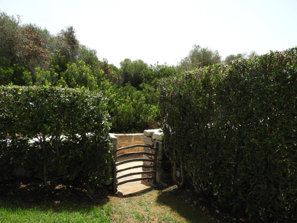 Villa ES CANTELL photo 4