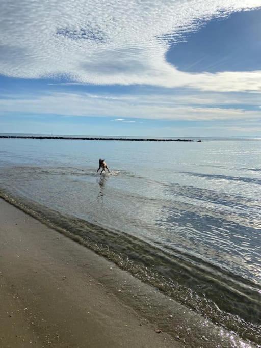 hébergement les pieds dans l'eau