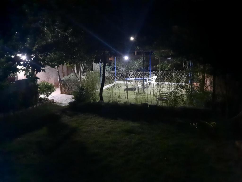 charment maison avec jardin photo 2
