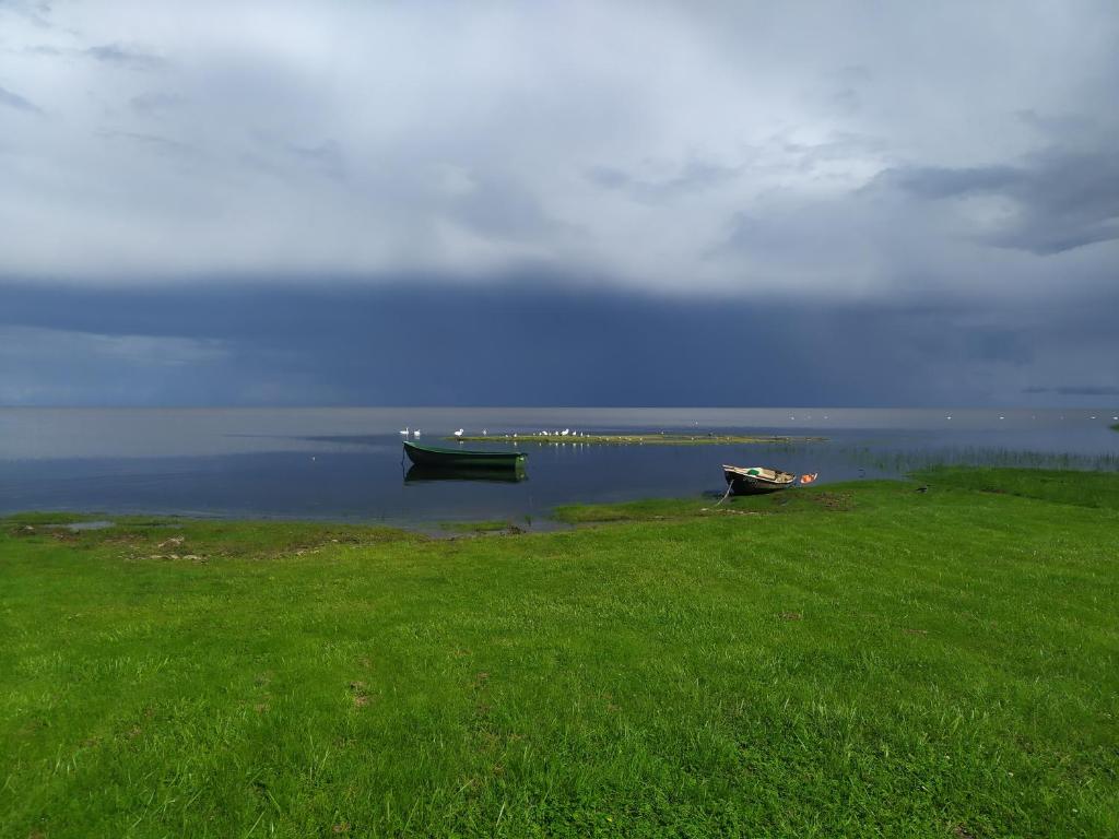 Glempings Bērzciema Lagūna photo 2