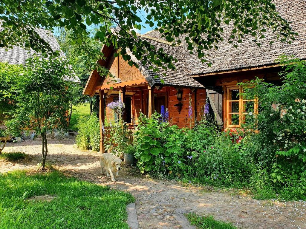 Cisowe Wzgórze photo 4