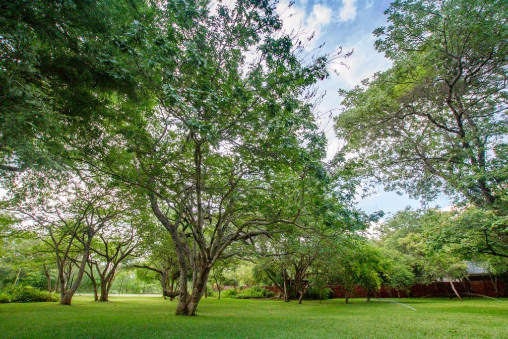 Beautiful home overlooking a park - 2097 photo 1