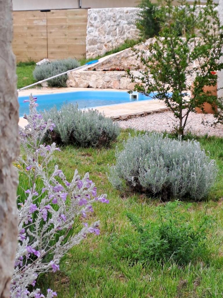 Heritage House Vrime - stone house with heated pool photo 3