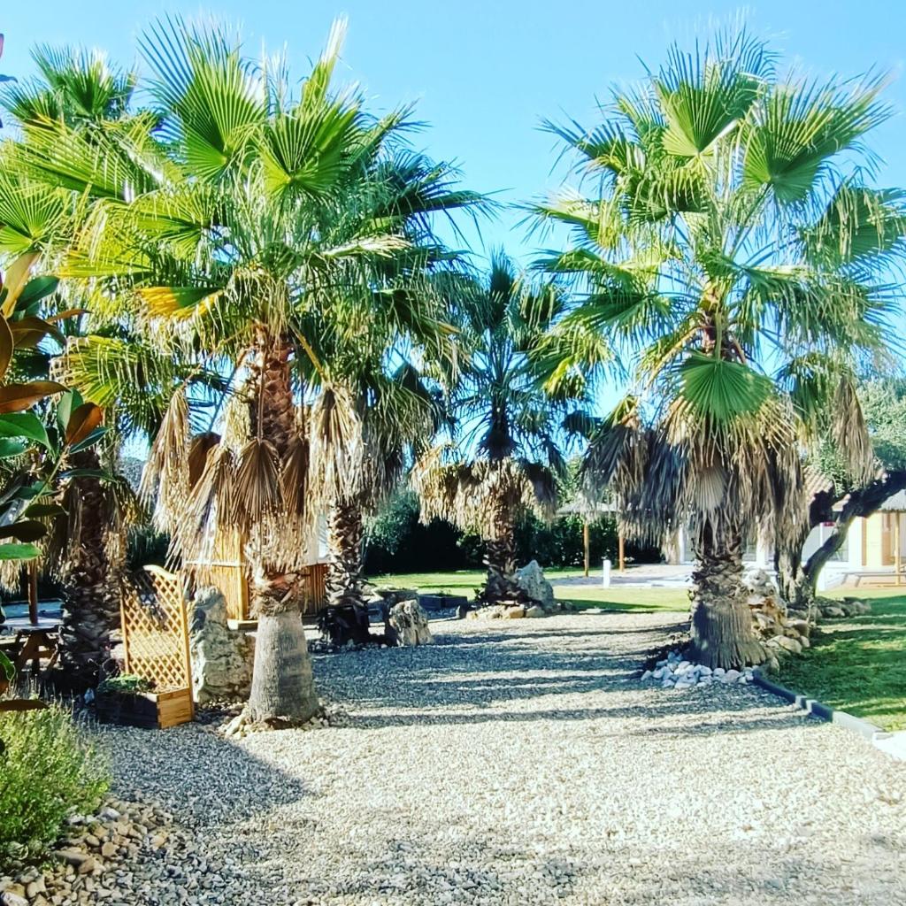 Le Frauzil photo 1