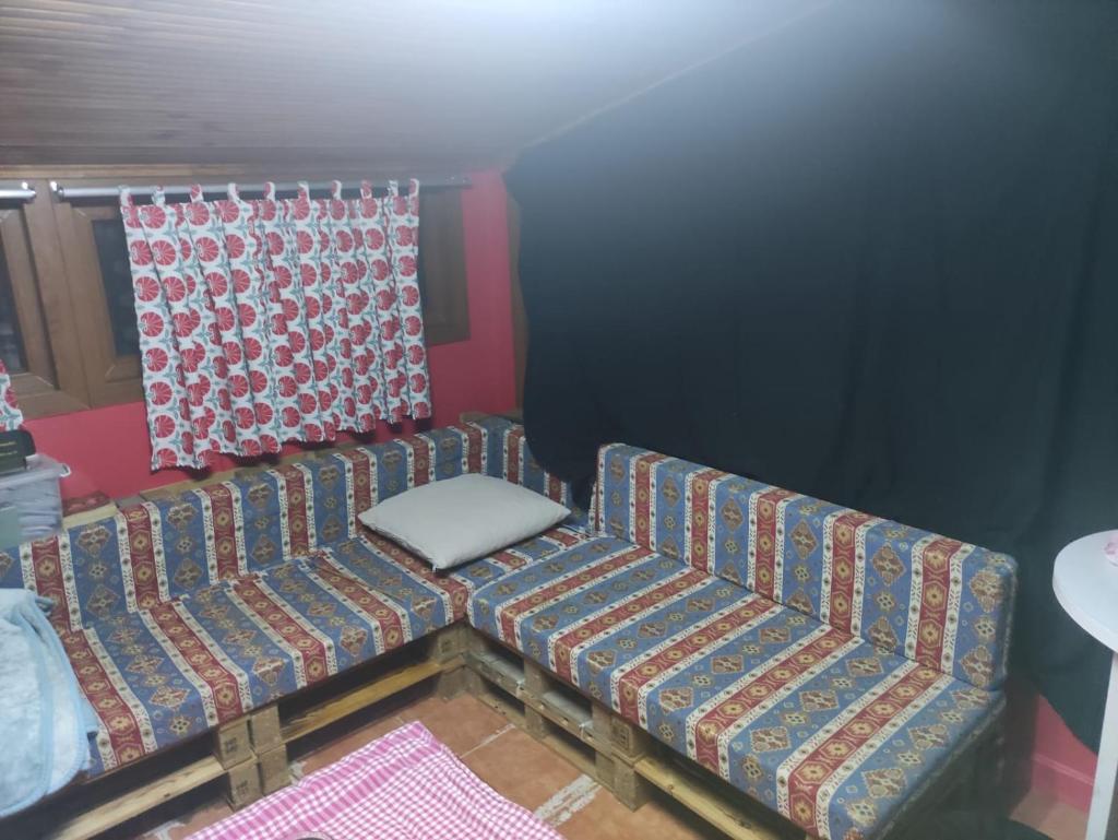 Golden Paws Guesthouse photo 4