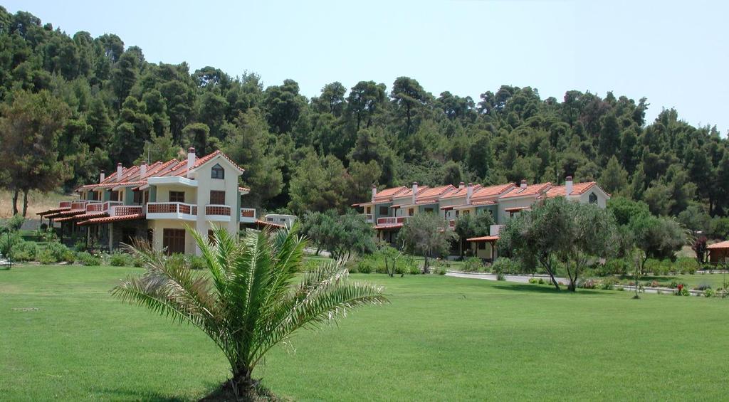 Amaryllis Summer Maisonettes photo 3