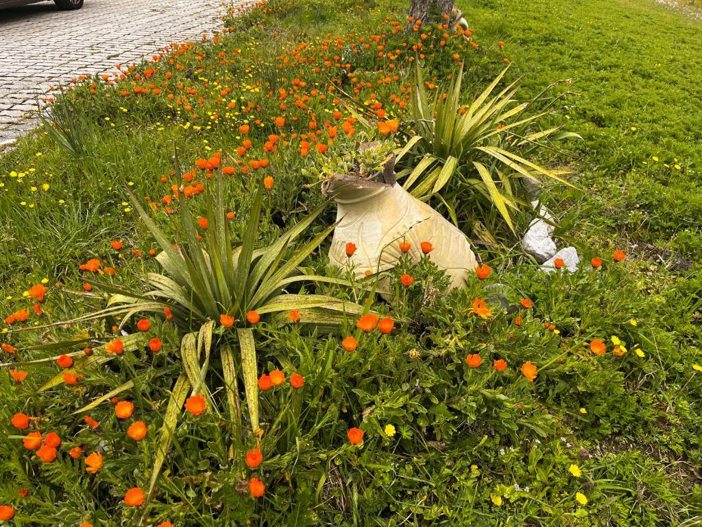 Il Giardino di Vincenzina B&B photo 3