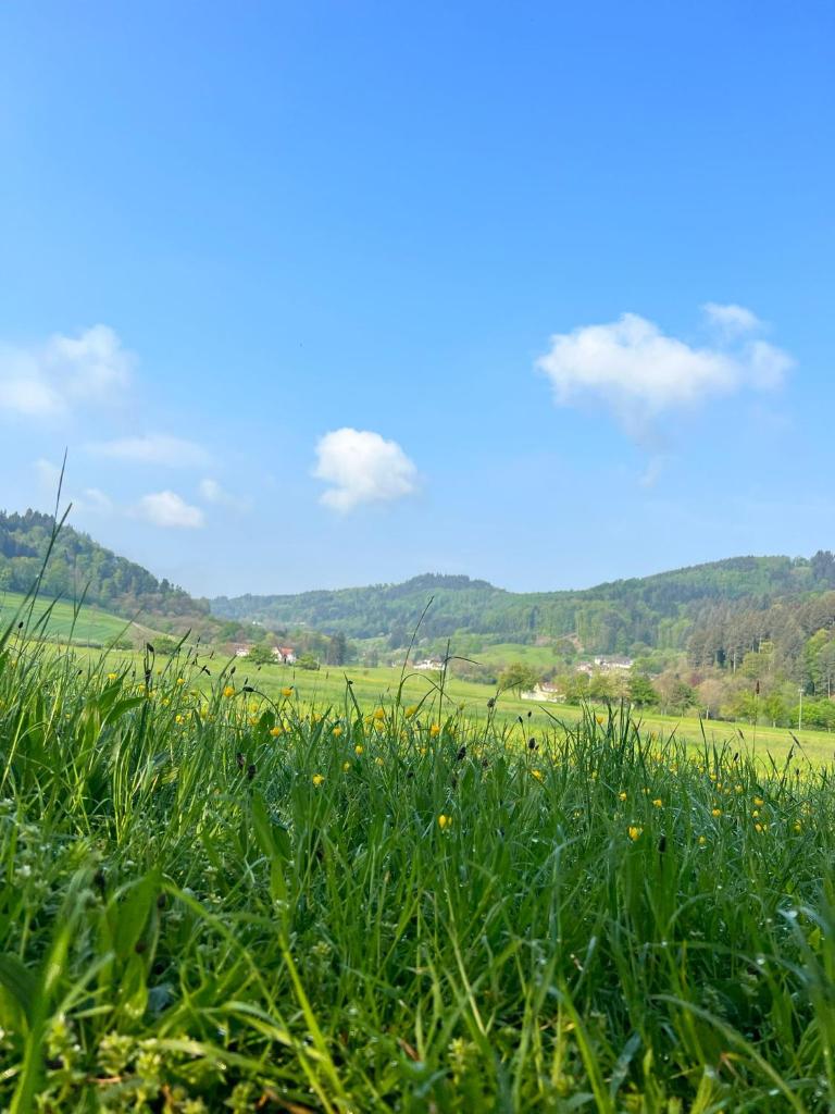 Black Forest Apartments photo 3