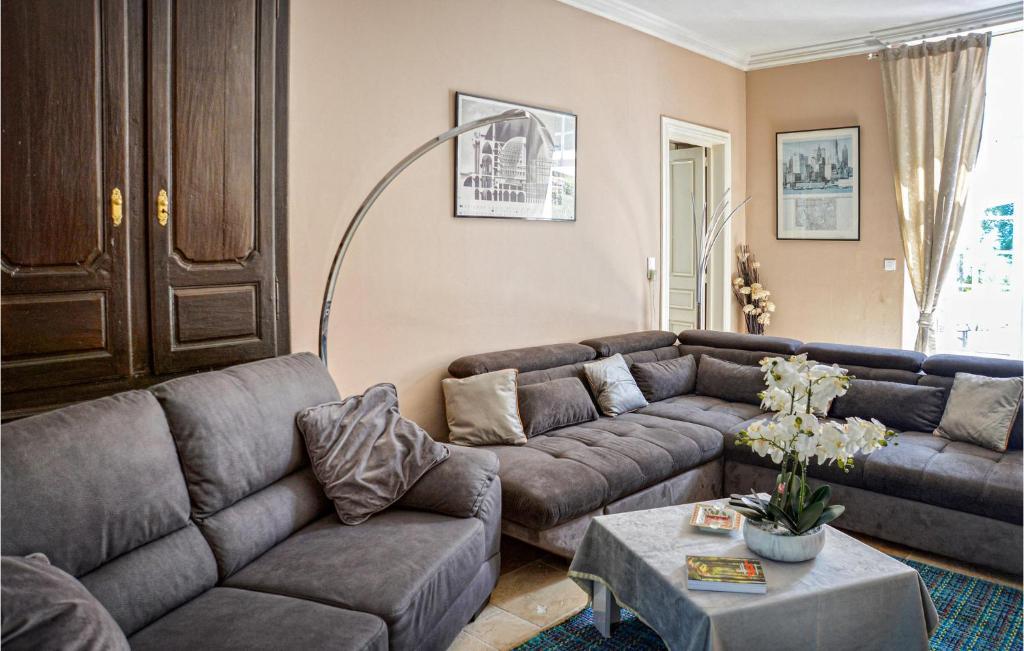 Awesome Home In Orthez With Outdoor Swimming Pool, Private Swimming Pool And 7 Bedrooms photo 3