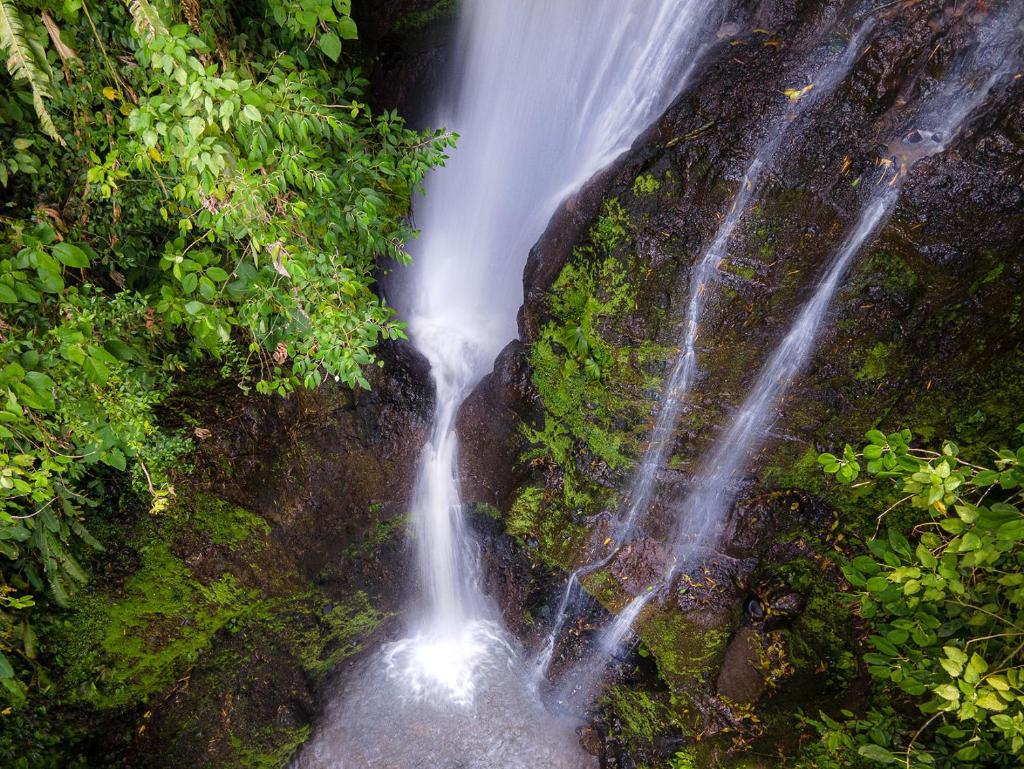 MuchoSur Quimbaya photo 2