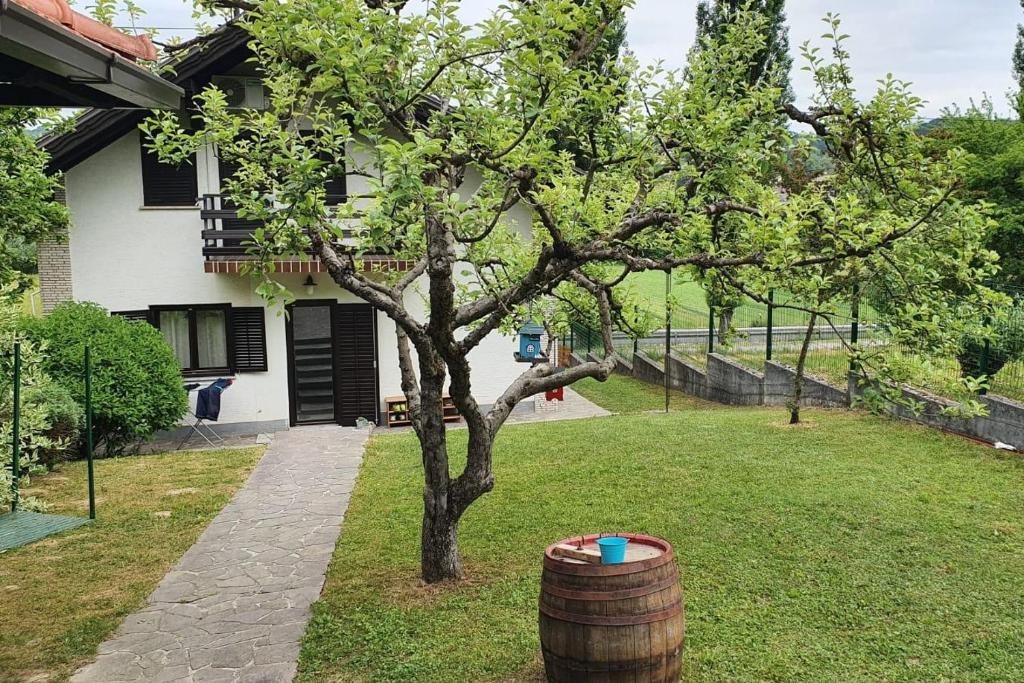 Holiday house with a parking space Tuheljske Toplice, Zagorje - 21224 photo 2