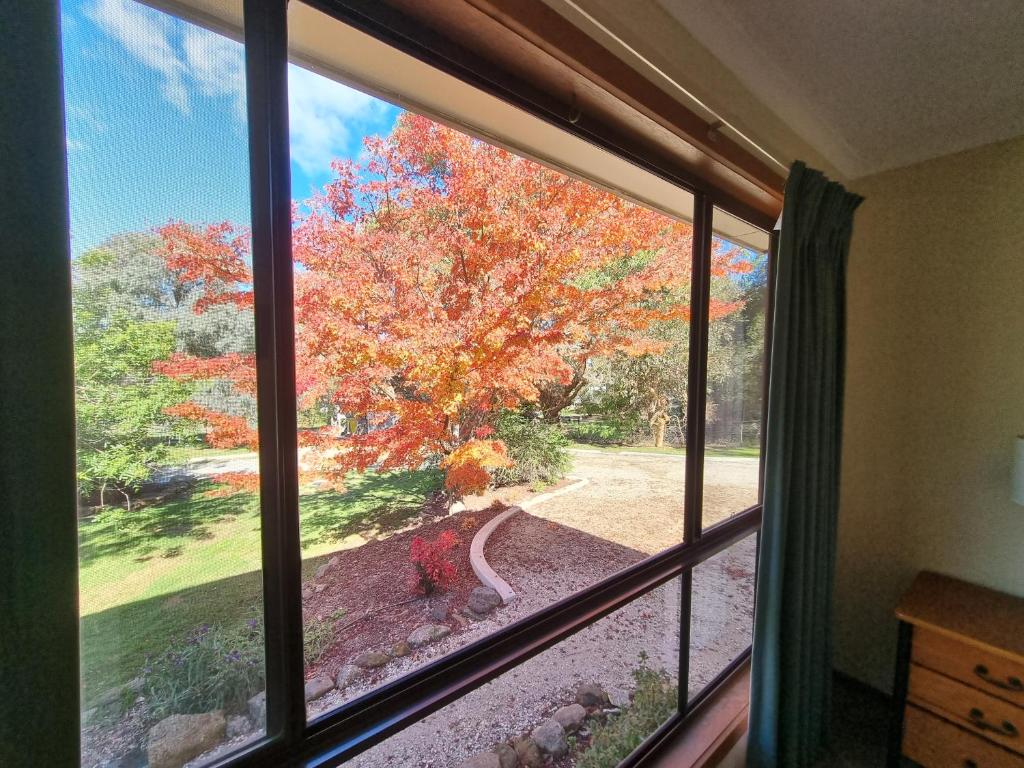 Golden Heritage Apartments Beechworth photo 3